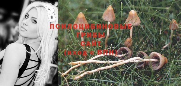 спиды Нея