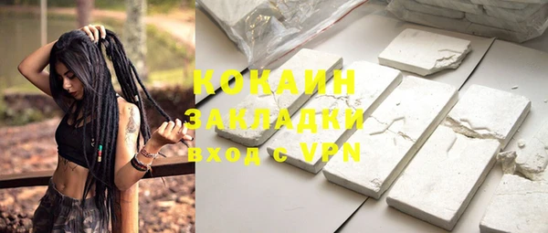 индика Надым