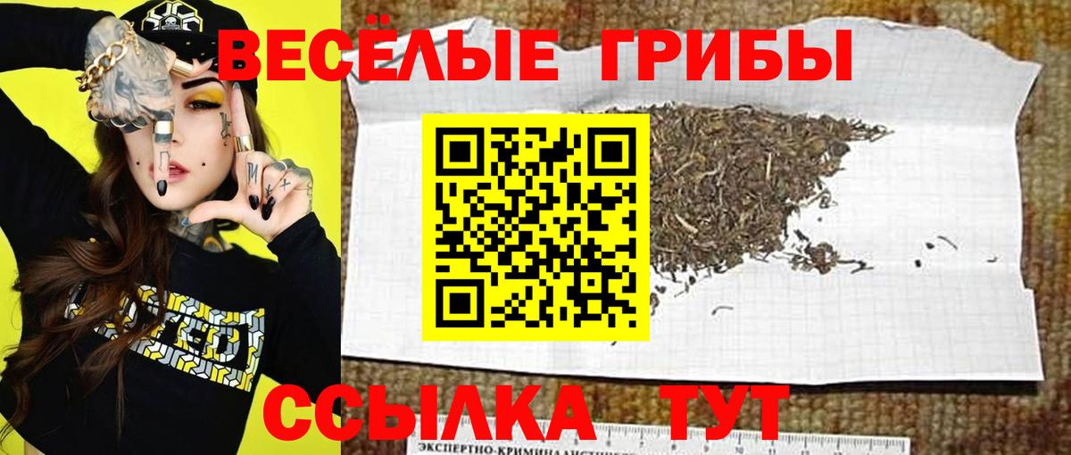 Галлюциногенные грибы Psilocybe  Вход с VPN  Дзержинск 