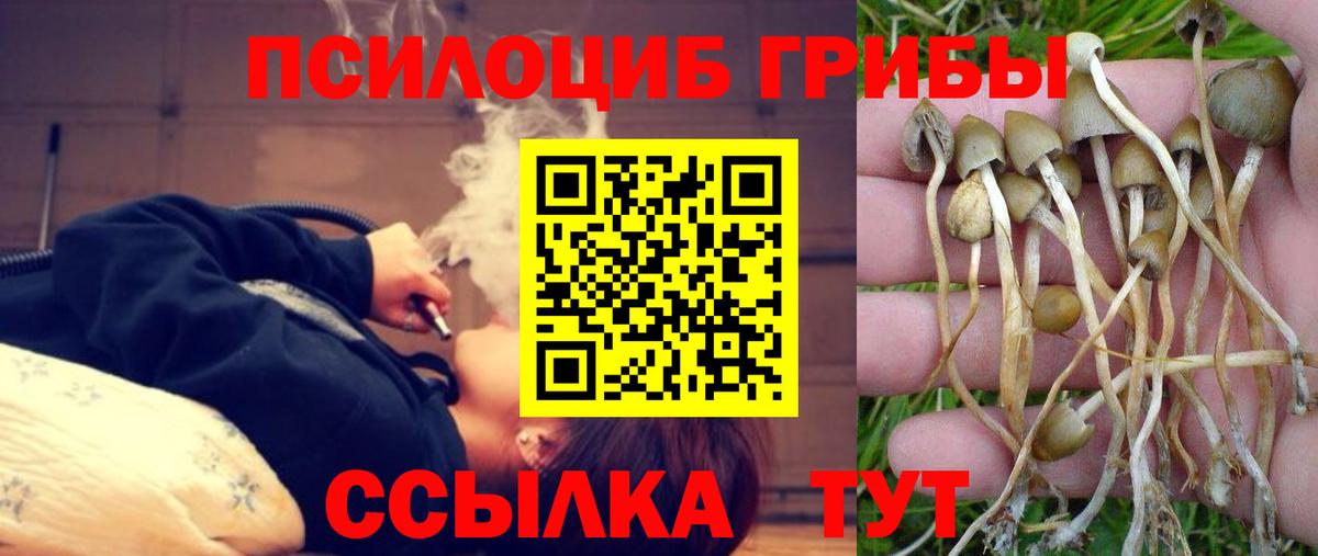 Псилоцибиновые грибы ЛСД Дзержинск