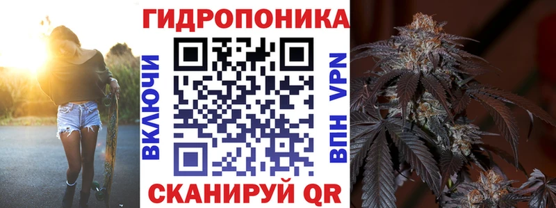 кракен ссылки  цены   Дзержинск  даркнет формула  Конопля сатива 