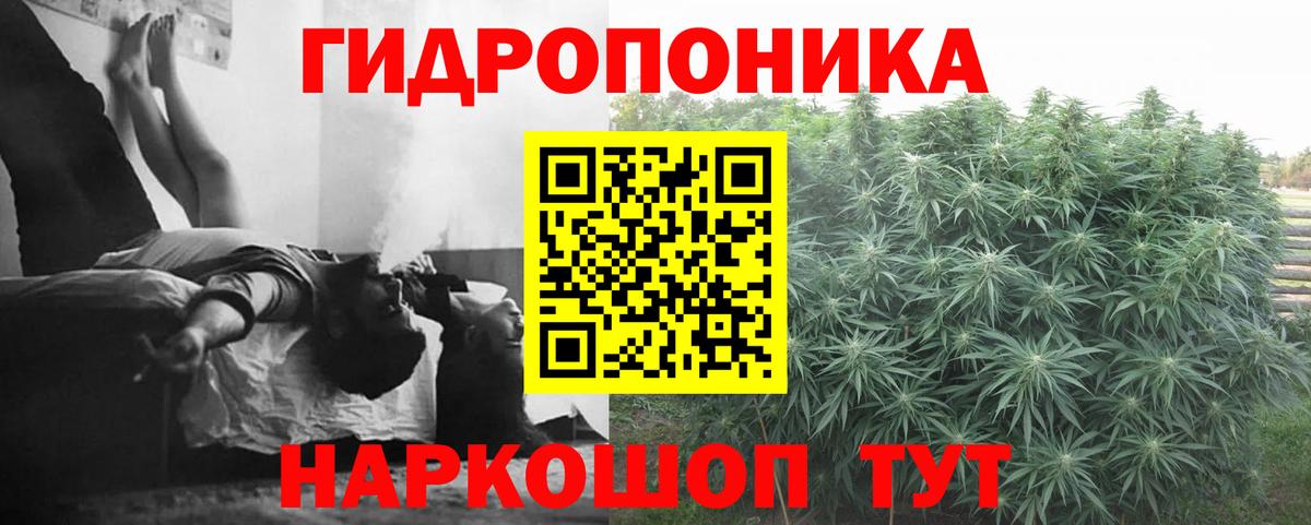 Бошки марихуана Bruce Banner Дзержинск